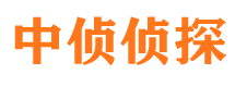 临渭市婚外情调查